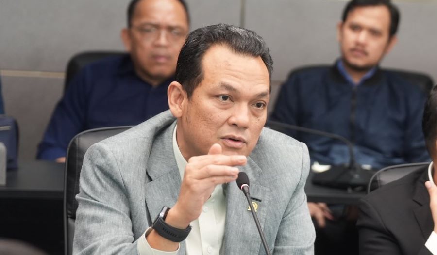 Martin Manurung Dorong Percepatan Pembahasan RUU Satu Data Indonesia